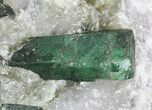 Beryl (Var: Emerald) Crystals in Biotite & Quartz - Bahia, Brazil #44123-5